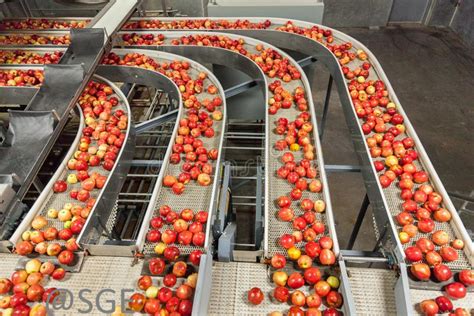 fruit processing machine